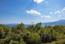 Rijeka, Bivio, vila s dva stana, bazenom,  dvije garaže i pogledom na more, Rijeka, Maison