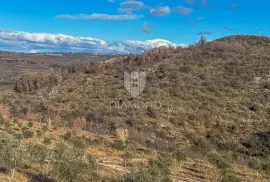 Istra, Buje, okolica, zemljište na poželjnoj lokaciji!, Buje, Terra