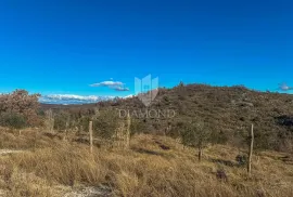 Istra, Buje, okolica, zemljište na poželjnoj lokaciji!, Buje, Terra