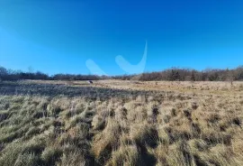 EKSKLUZIVNO IZUZETNO PROSTRANO ZEMLJIŠTE VISOKOG POTENCIJALA, Marčana, Terreno