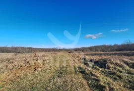 EKSKLUZIVNO PROSTRANO POLJOPRIVREDNO ZEMLJIŠTE UZ ASFALTIRANU CESTU, Marčana, Zemljište