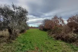 Istra, okolica Peruški, građevinsko-polljoprivredna parcela, Marčana, Arazi