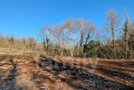 VRLO ATRAKTIVNO GRAĐEVINSKO ZEMLJIŠTE, Svetvinčenat, Terrain