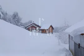 SAMO KOD NAS ,Kuća u prirodi 370 m2 sa okućnicom 48000m2 sa potokom, Plaški, Famiglia