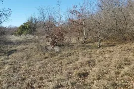 Poljoprivredno zemljište Šajini, Barban, Land