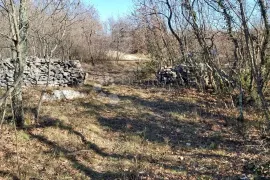 Poljoprivredno zemljište Šajini, Barban, Land