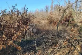 Poljoprivredno zemljište Šajini, Barban, Land