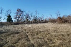 Poljoprivredno zemljište Šajini, Barban, Land