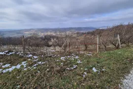 Šarmantna vikendica sa voćnjakom i vinogradom na brijegu okruženom dvorcima, Krapinske Toplice, بيت