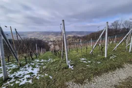 Šarmantna vikendica sa voćnjakom i vinogradom na brijegu okruženom dvorcima, Krapinske Toplice, بيت