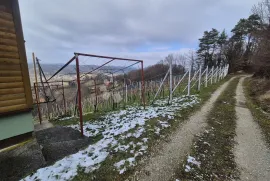 Šarmantna vikendica sa voćnjakom i vinogradom na brijegu okruženom dvorcima, Krapinske Toplice, بيت