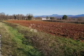 Zemljište industrijska zona Barban, 6700 m², Barban, Terreno