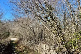 Odlično zemljište s mogućnošću proširenja na top lokaciji, Marčana, Terra