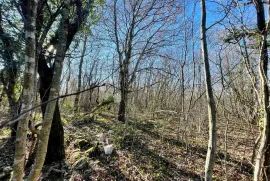 Odlično zemljište s mogućnošću proširenja na top lokaciji, Marčana, Terra