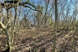 Odlično zemljište s mogućnošću proširenja na top lokaciji, Marčana, Terra