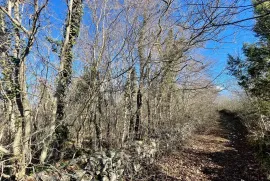 Odlično zemljište s mogućnošću proširenja na top lokaciji, Marčana, Terra