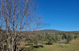 Zemljište prodaja Turanj 4938 m2, Sveti Filip I Jakov, Terra