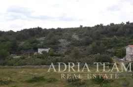 GRAĐEVINSKA PARCELA, NOVIGRAD - INVESTICIJA, Novigrad, Land