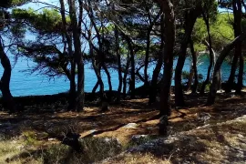 POLJOPRIVREDNO ZEMLJIŠTE, TOP POZICIJA! 100 m OD MORA, BRAČ - SPLITSKA, Supetar, Land