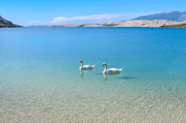 GRAĐEVINSKO ZEMLJIŠTE S POGLEDOM NA MORE, 200 m OD MORA, PAG, Pag, Tierra