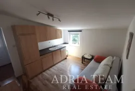 APARTMANSKA KUĆA S 3 APARTMANA - VIR, Vir, Σπίτι