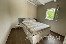 KAMENA KUĆA + STUDIO APARTMAN - PRIVLAKA, Privlaka, Ev