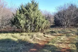 Zemljište u okolici Labina, Raša, Arazi