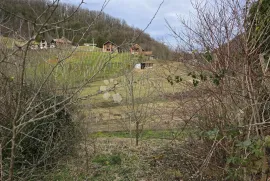 Autohtona Zagorska hiža, Lepoglava, Kuća