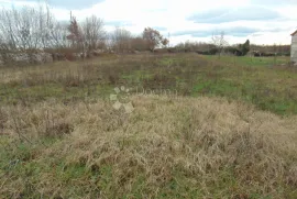 Građevinsko zemljište idealno za stambene zgrade ili gospodarsku halu, Žminj, Terrain