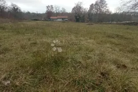 PRILIKA!!! Veliko zemljište na atraktivnoj lokaciji, Žminj, Terra