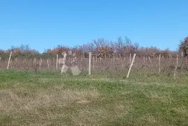 VELIKA POLJOPRIVREDNA PARCELA UZ GLAVNU CESTU, Vodnjan, Terreno