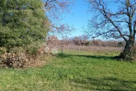 VELIKA POLJOPRIVREDNA PARCELA UZ GLAVNU CESTU, Vodnjan, Terreno