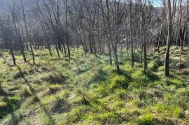 Građevinskom zemljište u zaleđu Crikvenice, Vinodolska Općina, Terra