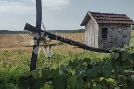 HITNO! KUĆA S VELIKOM OKUĆNICOM!, Gvozd, Maison