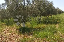 SNIŽENJE!!! Atraktivno zemljište u Majmajoli, Vodnjan, Land