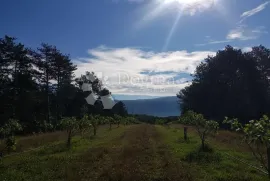 Prekrasno imanje i prava poslovna prilika!, Kršan, Arazi