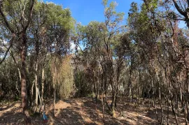 Poljoprivredno zemljište drugi red do mora, Marčana, Terreno