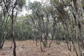 Poljoprivredno zemljište drugi red do mora, Marčana, Terreno