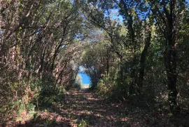 Poljoprivredno zemljište drugi red do mora, Marčana, Terreno