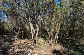 Poljoprivredno zemljište drugi red do mora, Marčana, Terreno