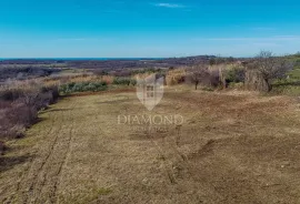 Buje! Prostrano zemljište sa panoramskim pogledom na more!, Buje, Terra