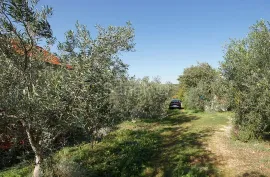 Kuća s prostranom okućnicom  (Vrana - Pakoštane), Pakoštane, بيت