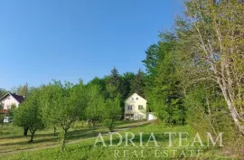 KUĆA U PREDIVNOM OKRUŽENJU - RIČICE, Lovinac, House