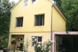 KUĆA U PREDIVNOM OKRUŽENJU - RIČICE, Lovinac, House