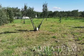 GRAĐEVINSKO ZEMLJIŠTE, PRAVILNOG OBLIKA, 250 M OD MORA, PAŠMAN - DOBROPOLJANA, Pašman, Land