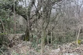 Zemljište Karlići,Grižane, Vinodolska Općina, Terreno