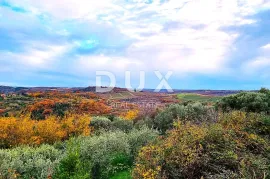 ISTRA, BUJE - Kuća na jedinstvenoj lokaciji s panoramskim pogledima, Buje, Famiglia