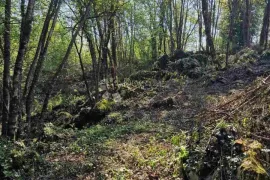 Brgud građevinsko zemljište, Matulji, Terreno