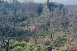 DOBRINJ STARINA S OKUĆNICOM I KONOBOM, Dobrinj, Kuća