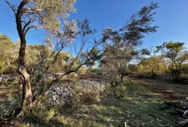 Vrbnik, okolica, Građevinsko zemljište 794m2 s predanom dokumentacijom za građevinsku dozvolu, prodaja, Vrbnik, Tierra